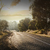 Cunungra-light_thumb