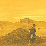 Alongwalk_card