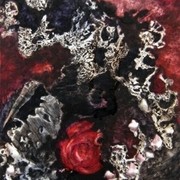 P5-secretos_card