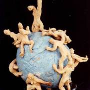 Blueball_card