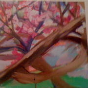 Cherry_blossom_fusia_card
