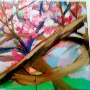 Cherry_blossom_fusia_final_version_card