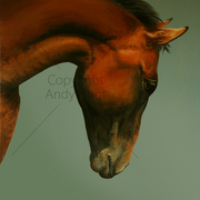 Copper700_card