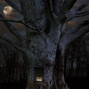 Woodlandhome_card