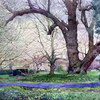 Abbey_watercolour