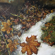 Maple_leaf_on_ice_iii_card