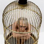 Cage-large_card