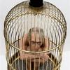 Cage-large_thumb