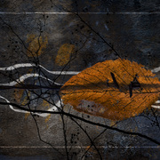 Autumn_refrain_card
