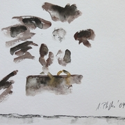 Greifvogel_card