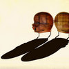 Lr_brain-web_thumb