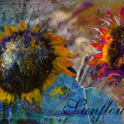 Sunflowers_card