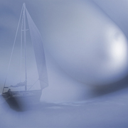 Homewardbound_card