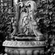 Cn_fountain-bw-w_card