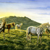Dawn_light_-_ponies_on_bodmin_moor_thumb