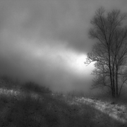 Bare_november_days_card