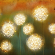 Blowball_716_card