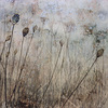 March_meadow_thumb