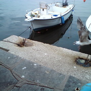 Dsc00065_card