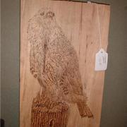 Red_tail_hawk_card