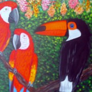 Aves_brasileiras_card