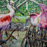 Nancy_jacey_spoonbills_pencil_card