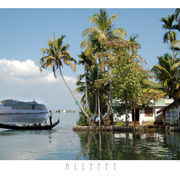 Alleppy2_card