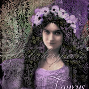 Taurus_card