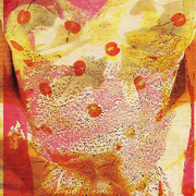 Cherry_master_card