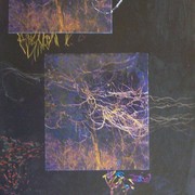 100_3595_card