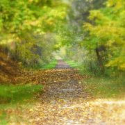 October_path_2007_sharp_focus_glow_cropenhance_card