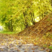 October_path_b_2007_sharp_focus_glowenhance_card