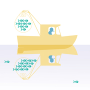 Boatreflection_card