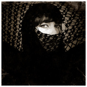 Aracne1a_card