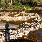 Rollingstone_creek_card