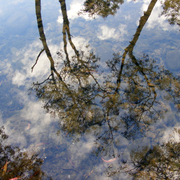 River_reflections_1_card