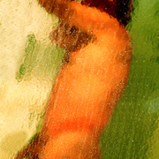 4458603-lg_card