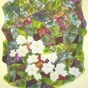 Forest_flower_rue_anemone_card