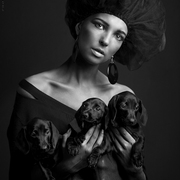 Three_of_her_dogs_card