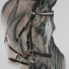 Horse_thumb