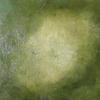 Avacado_thumb