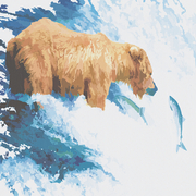 Bruno_falls_card