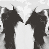 Two_dogs_thumb
