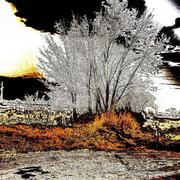 Neve_golosine_276_card