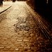 Glowing_kaldrma_2__square