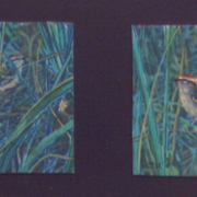 Minipaintigs4_copy_card
