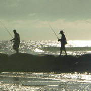 Fishing_card