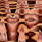 Body_motion_8_card