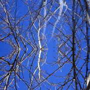 2008-02-09_02-39-15_0007_resize_card