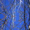 2008-02-09_02-39-15_0007_resize_thumb